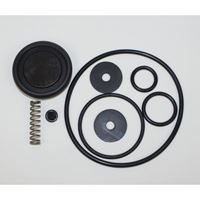 SOLO 0610407-K Pump Repair Kit, Piston 