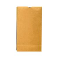 Duro Bag Dubl Life 18404 SOS Bag, #4, 5 in L, 3-1/8 in W, 9-3/4 in H, Kraft Paper, Brown 