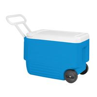 IGLOO 34482 Ice Chest, 38 qt Cooler, Pack of 2 