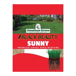 Jonathan Green Black Beauty 10895 Grass Seed, 1 lb Bag 