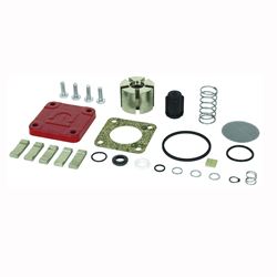 Fill-Rite 4200KTF8739 Pump Repair Kit 