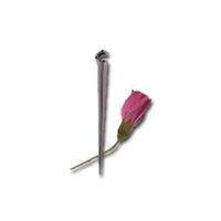 Raindrip R380CT Support Stake, 4 in L, Plastic 