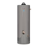 Richmond 12G40-38E2FN5 Gas Water Heater, Natural Gas, 40 gal Tank, 1.11 gpm, 38000 Btu/hr BTU, 0.64 Energy Efficiency 