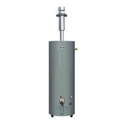 Richmond Essential Series MVR40DV3 Gas Water Heater, LP, Natural Gas, 40 gal Tank, 58 gph, 30000 Btu/hr BTU 