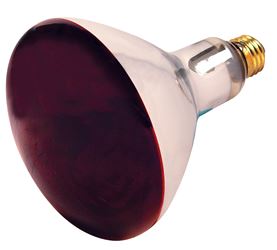 250W R40 Infrared Heat Lamp - Medium Base - Red - 120V 