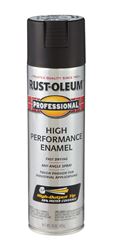 Rust-Oleum  Professional  Flat Black  Enamel Spray  15 oz. 
