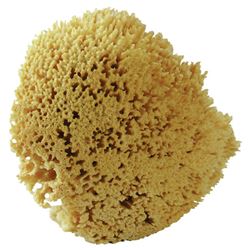 Acme  The Natural  Sea Wool  Sponge  7 in. L x 8 in. W 1 pk 