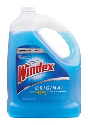Windex  Commercial Line  1 gal. Glass and Surface Cleaner