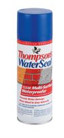 Thompsons Waterseal Clear Water-Based Multi-Surface Waterproofer 12 oz. 