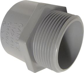 Cantex 1/2 in. Dia. PVC Male Adapter 