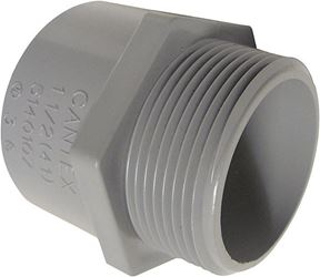 Cantex  3/4 in. Dia. PVC  Male Adapter 