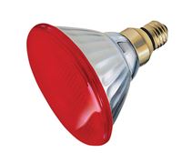 Ace  Incandescent Light Bulb  100 watts Floodlight  PAR38  Medium Base (E26)  1 pk 