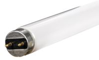 GE  Fluorescent Bulb  15 watts 940 lumens Linear  T8  18 in. L Soft White  1 pk 