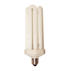 Lithonia Lighting  CFL Bulb  65 watts 3900 lumens Specialty  Cool White  1 pk 