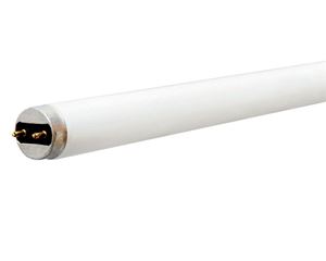 GE  Fluorescent Bulb  15 watts 615 lumens Linear  T8  18 in. L White  1 pk