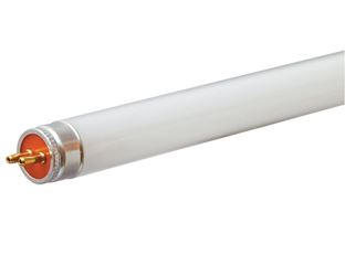 GE  Fluorescent Bulb  13 watts 850 lumens Linear  T5  21 in. L Cool White  1 pk 