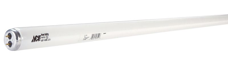 Ace  Fluorescent Bulb  40 watts 2900 lumens Linear  T12  48 in. L Cool White  1 pk 