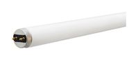 GE  Fluorescent Bulb  32 watts 2900 lumens Linear  T8  48 in. L Neutral White  1 pk 