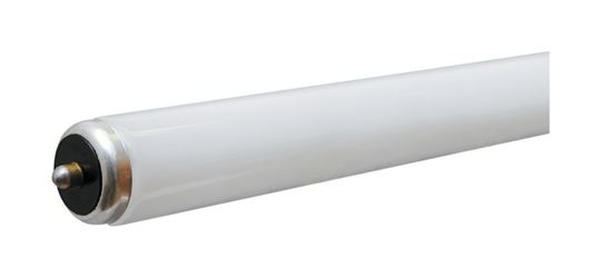 GE  Fluorescent Bulb  59 watts 5800 lumens Linear  T8  96 in. L Neutral White  1 pk 