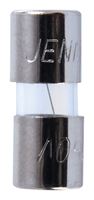 Jandorf  Fast Acting Glass Fuse  1 amps 250 volts 1/4 in. Dia. x 5/8 in. L 4 pk For Max protection 