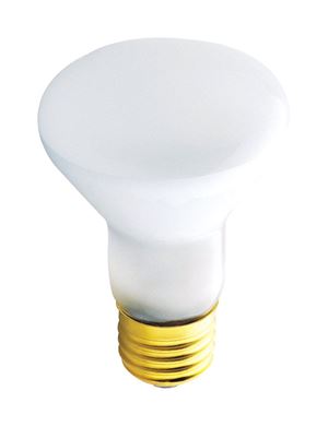 Westinghouse  Incandescent Light Bulb  45 watts 380 lumens 2700 K Floodlight  R20  Medium Base (E26)