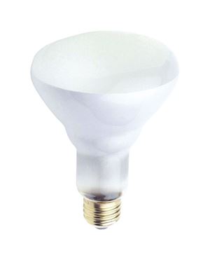 Westinghouse  Incandescent Light Bulb  65 watts 650 lumens 2700 K Floodlight  BR30  Medium Base (E26