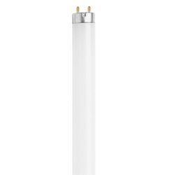 Feit  Cool White  Tubular  Fluorescent Bulb  15 watts 18 in. L T8  770 lumens 1 pk 