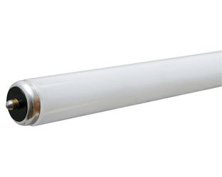 GE Fluorescent Bulb 55 watts 4500 lumens Linear T12 72 in. L Cool White 1 pk 