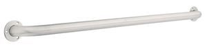 Delta  Satin  Stainless Steel  Grab Bar  42 in. L