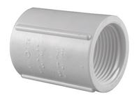 Charlotte Pipe 3/4 in. Dia. x 3/4 in. Dia. FPT To FPT Schedule 40 PVC Coupling 