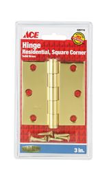 Ace  Brass  Residential Hinge  3 in. L Solid Brass  1 pk 
