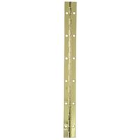 Ace  1 in. W x 12 in. L Continuous Hinge  Bright Brass 