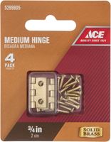 Ace  3/4 in. L Medium Hinge  Polished Brass 