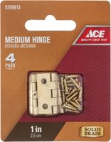 Ace  1 in. L Medium Hinge  Polished Brass 