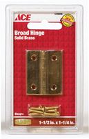 Ace  1-1/2 in. W x 1-1/4 in. L Broad Hinge  Polished Brass 