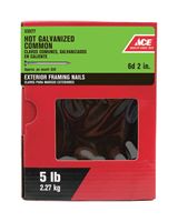 Ace  Flat  2 in. L Common  Nail  Smooth  Hot-Dipped Galvanized  Steel  5 lb. 