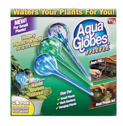 Aqua Globe  As Seen On TV  6 oz. Glass  Assorted  Plant Waterer 