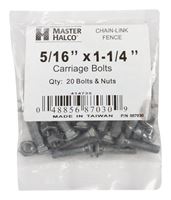 Steel Carriage Bolt 20 