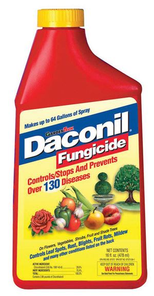 Garden Tech  Danconil  Fungicide  16 oz. Liquid