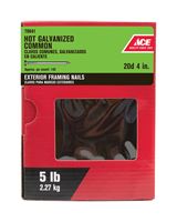 Ace  Flat  4 in. L Common  Nail  Smooth  Hot-Dipped Galvanized  Steel  5 lb. 