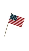 Valley Forge  American  Flag  4 in. H x 6 in. W 