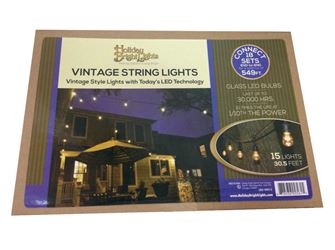 Holiday Bright Lights Indoor and Outdoor Vintage Lights 30.5 ft. L 